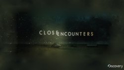 Recommandation 1