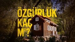 Recommandation 1
