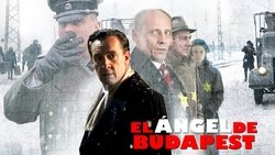 Recommandation 1