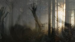 Recommandation 1