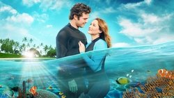 Recommandation 1