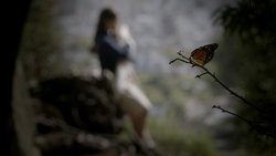 Recommandation 1