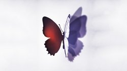 Recommandation 1