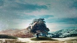 Recommandation 1