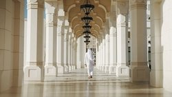 MBZ, la face cachée des Emirats arabes background image