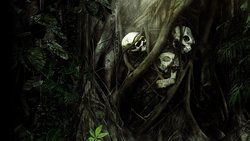 Recommandation 1