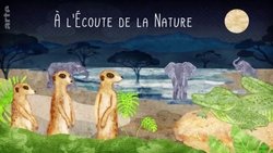Recommandation 1