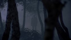 Recommandation 1
