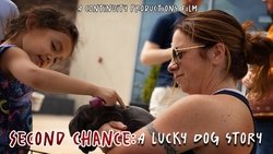 Recommandation 1