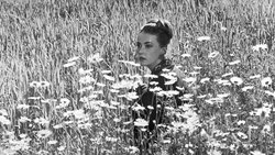 Recommandation 1