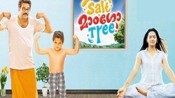 Salt Mango Tree background image