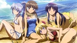 Recommandation 1