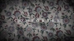Recommandation 1