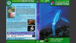 Recommandation 1