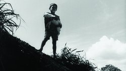 Recommandation 1