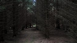 Recommandation 1