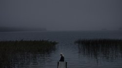 Recommandation 1