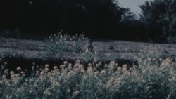 Open Eyes background image