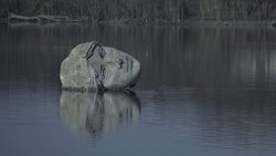 Recommandation 1