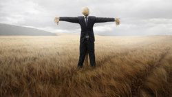 Recommandation 1