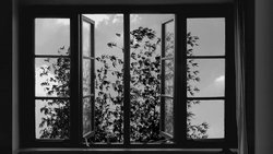 Recommandation 1