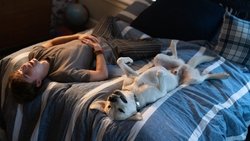 Recommandation 1