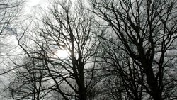 Recommandation 1