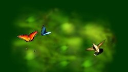 Recommandation 1