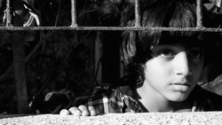 Recommandation 1
