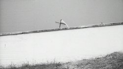 Recommandation 1