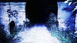 Recommandation 1