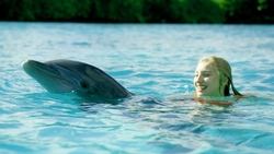 Dolphin Island background image