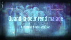 Recommandation 1