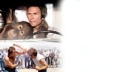 Recommandation 1