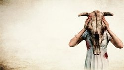Recommandation 1