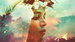 Recommandation 1