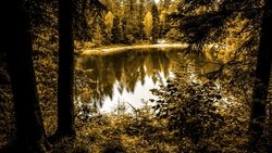 Recommandation 1