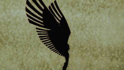 Recommandation 1