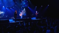 Toto: Falling in Between Live background image