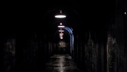 Recommandation 1