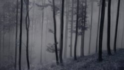 Recommandation 1