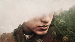 Recommandation 1