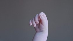 Recommandation 1