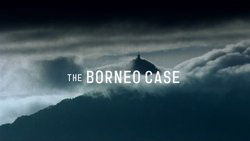 The Borneo Case background image