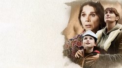 Recommandation 1
