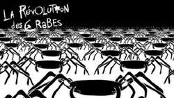 Recommandation 1