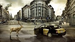 Recommandation 1