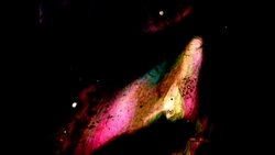Recommandation 1
