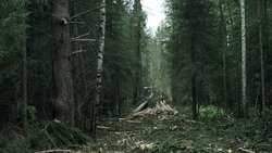 Recommandation 1