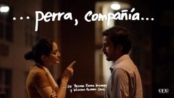 Recommandation 1